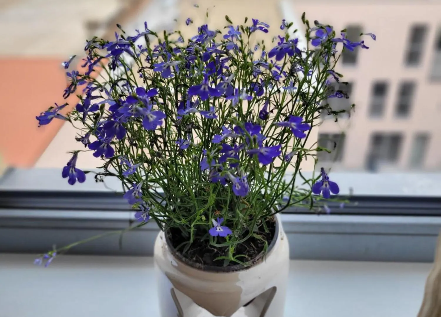 Klidne Misto Pro Tebe Apartment Prague